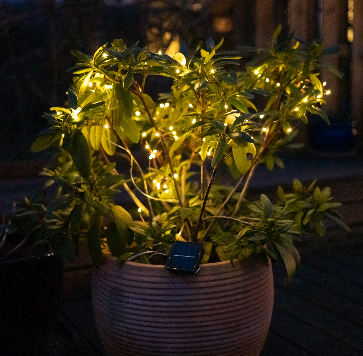 Ljusslinga Marly med Solcell - 100 ljus