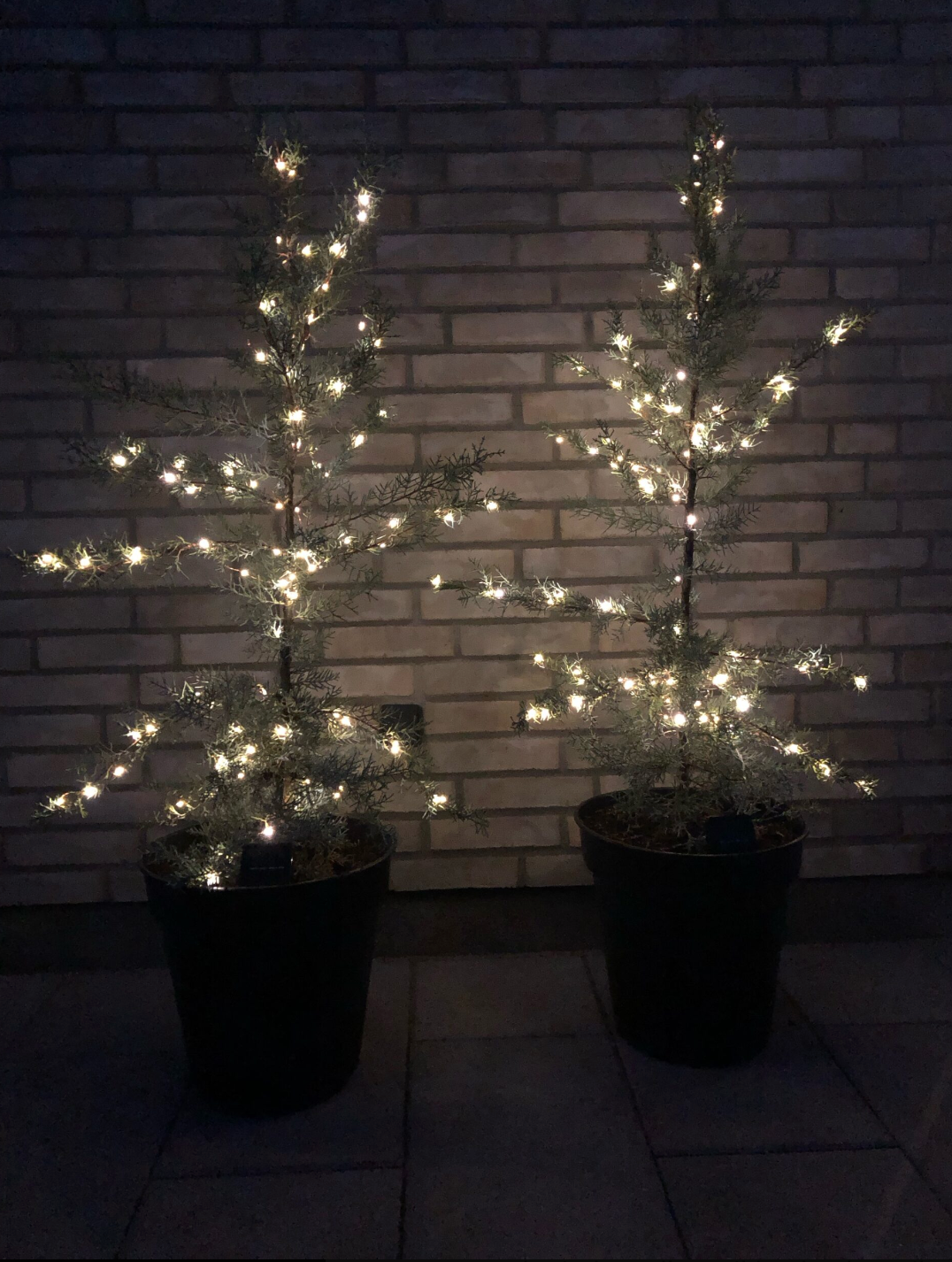 Ljusslinga Marly med Solcell - 100 ljus