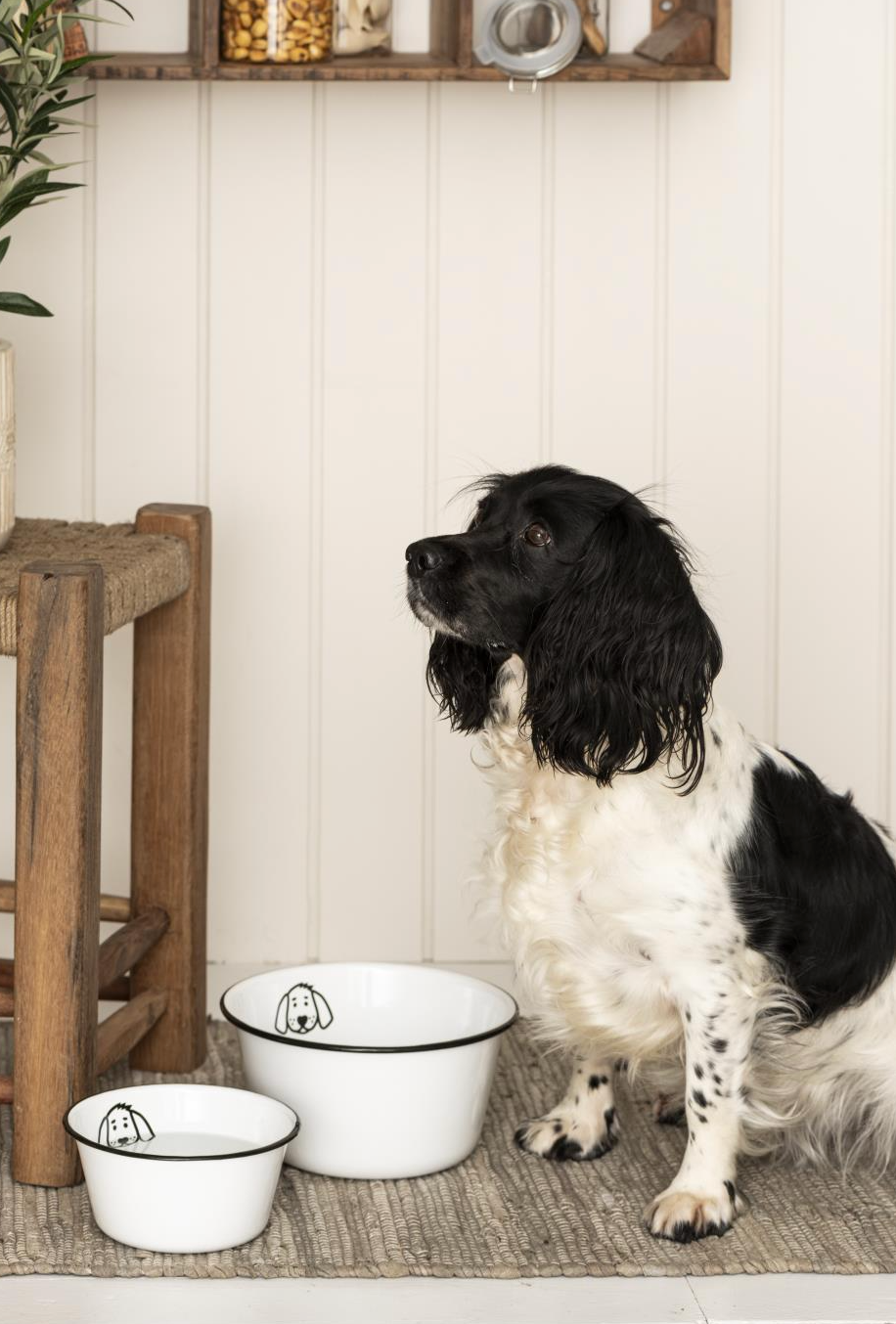 Hundskål emalj - Liten