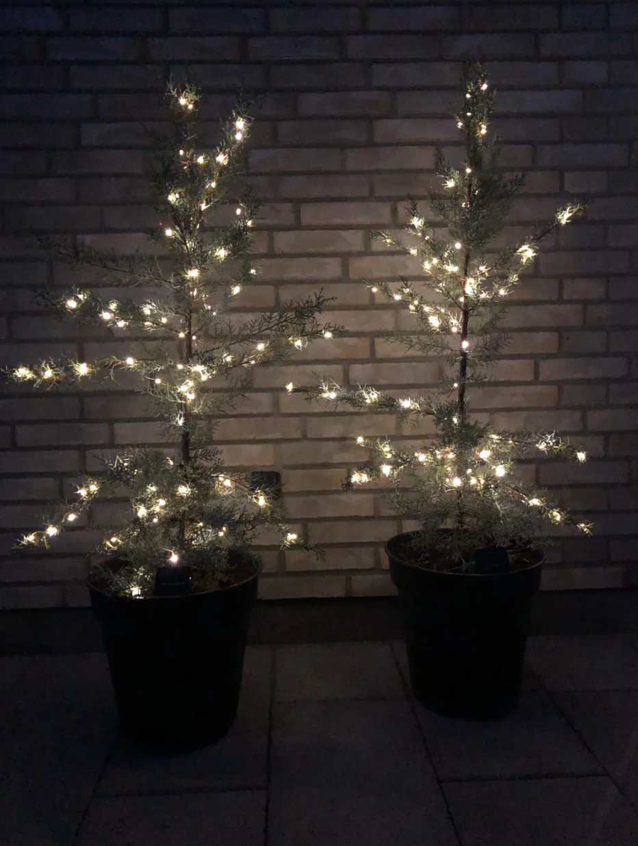 Ljusslinga Marly med Solcell - 200 ljus