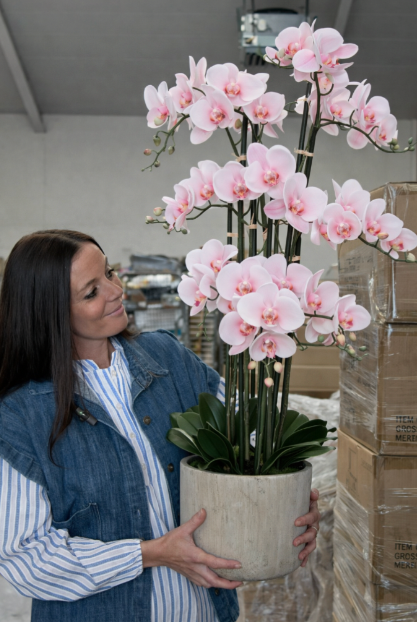 Orkidé i kruka 105 cm - Rosa