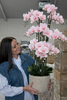 Orkidé i kruka 105 cm - Rosa