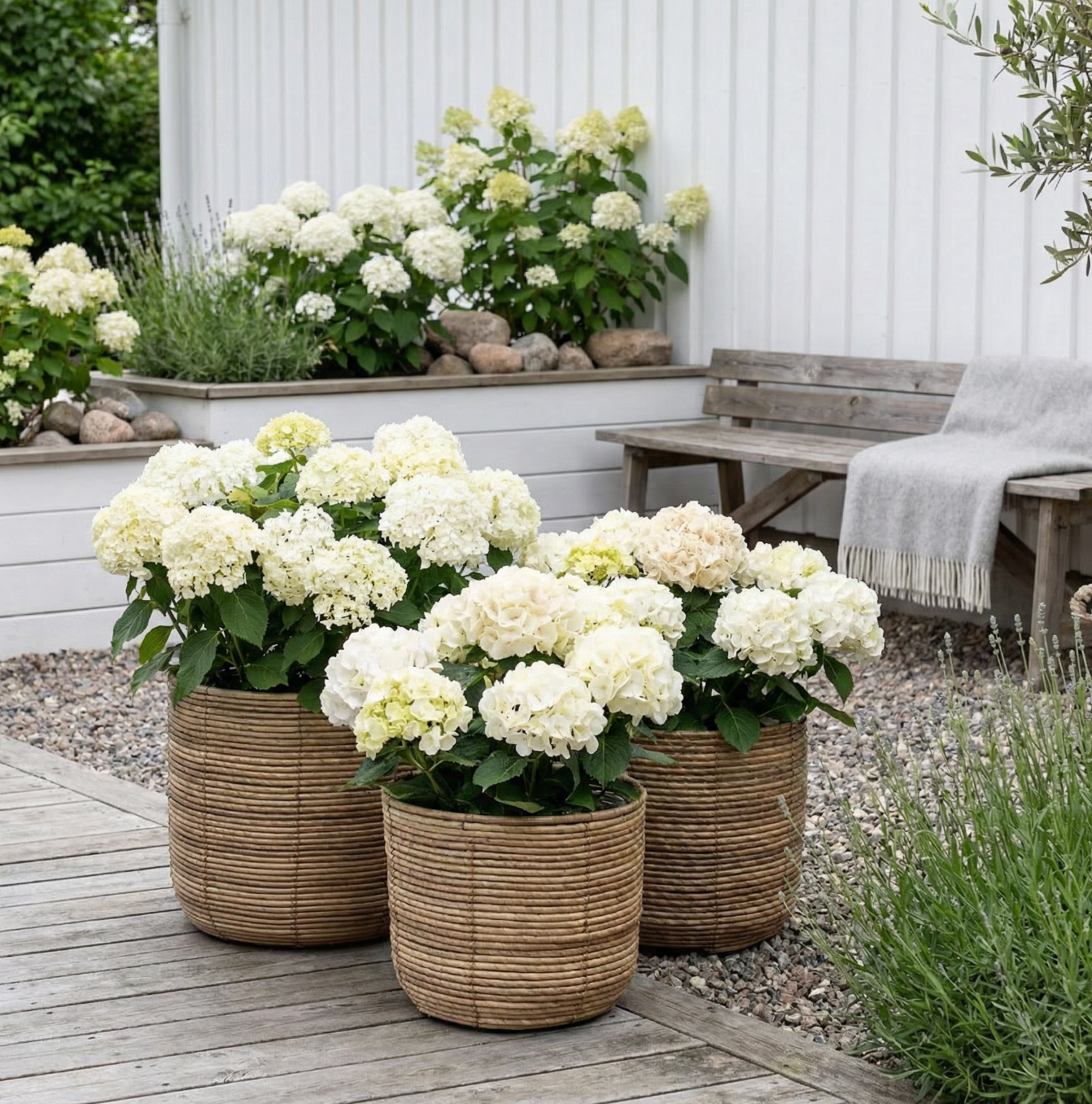 Plantkorgar RATTAN – Set med 3 storlekar