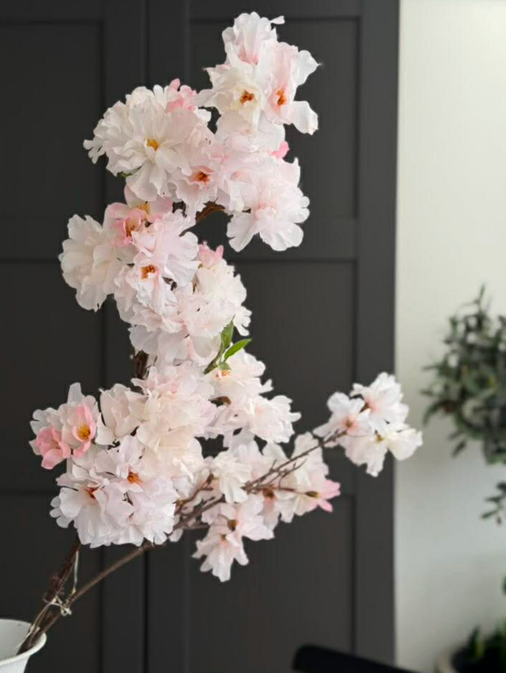 Japansk Körsbärsgren med ljus - Rosa