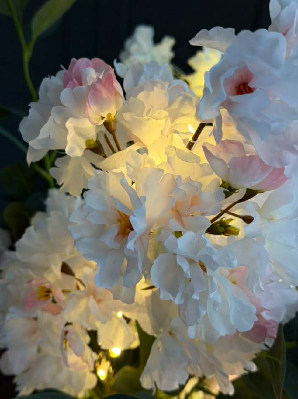 Japansk Körsbärsgren med ljus - Rosa
