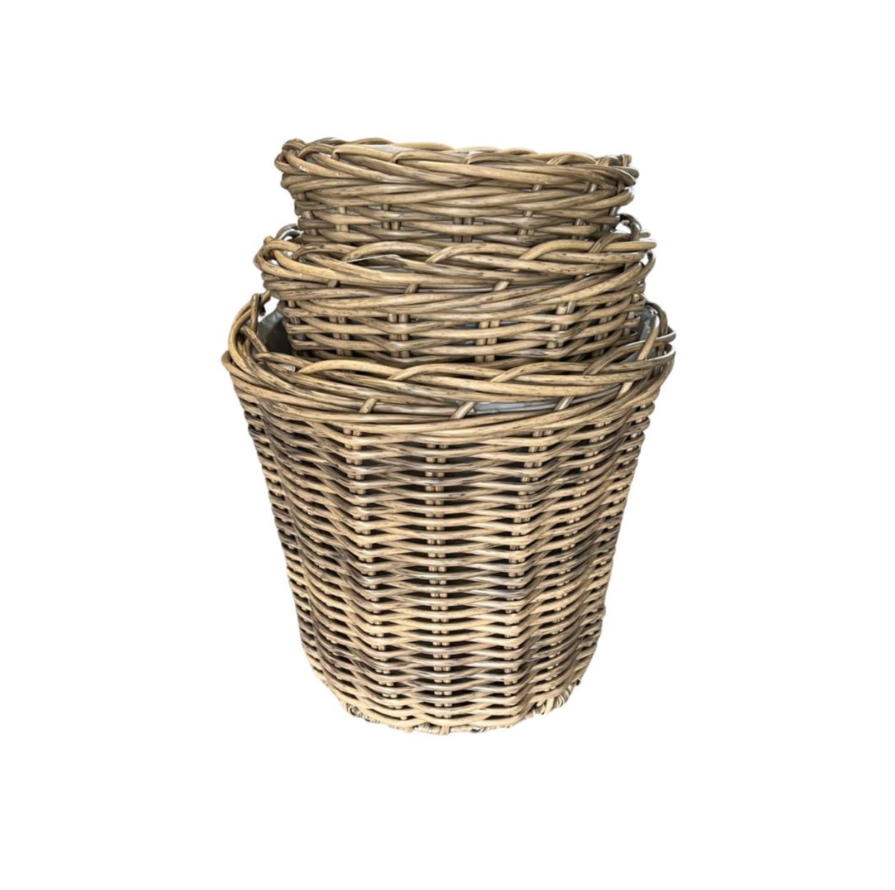 Plantkorgar i natur - 3 st