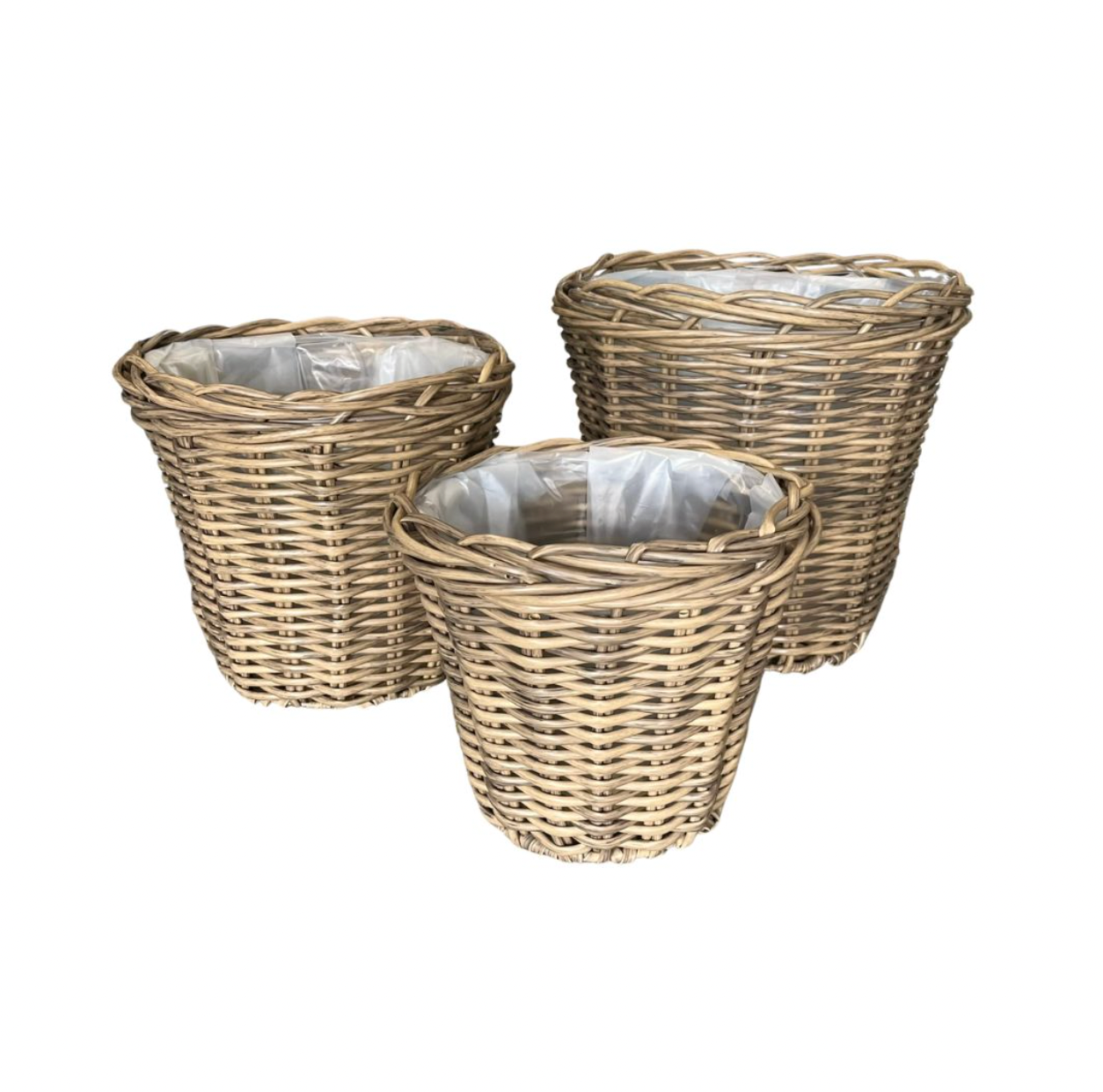 Plantkorgar i natur - 3 st