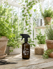 Blomsterspruta i brunt glas 500 ml