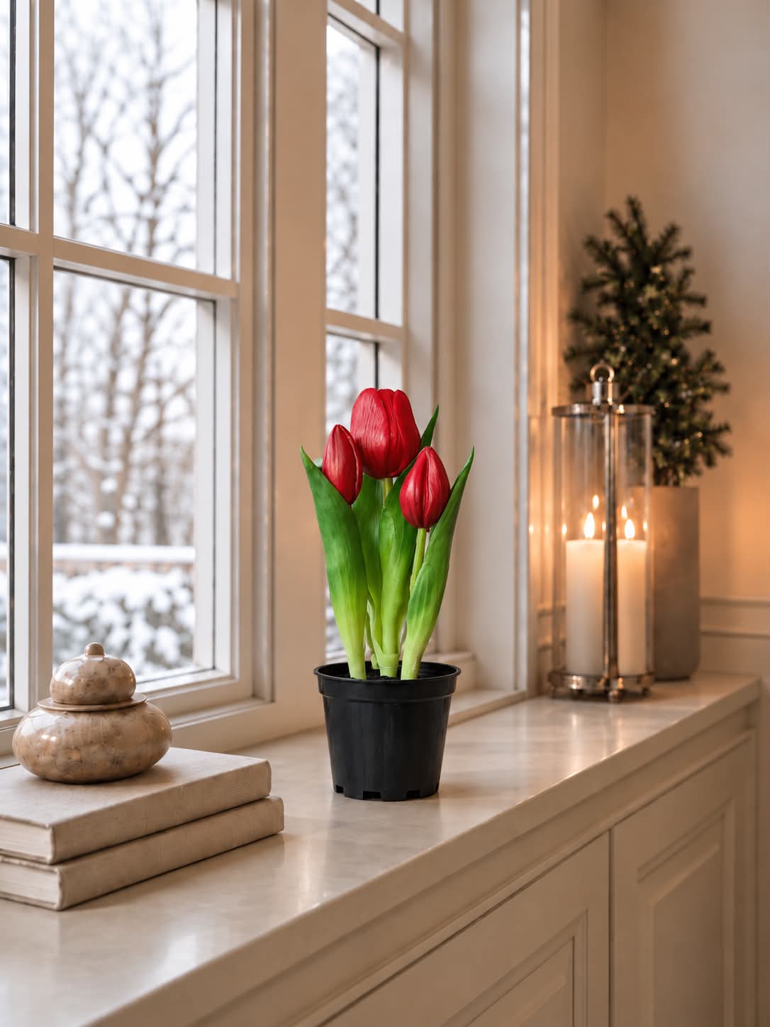 Tulpan i kruka - Röd med 3 blommor