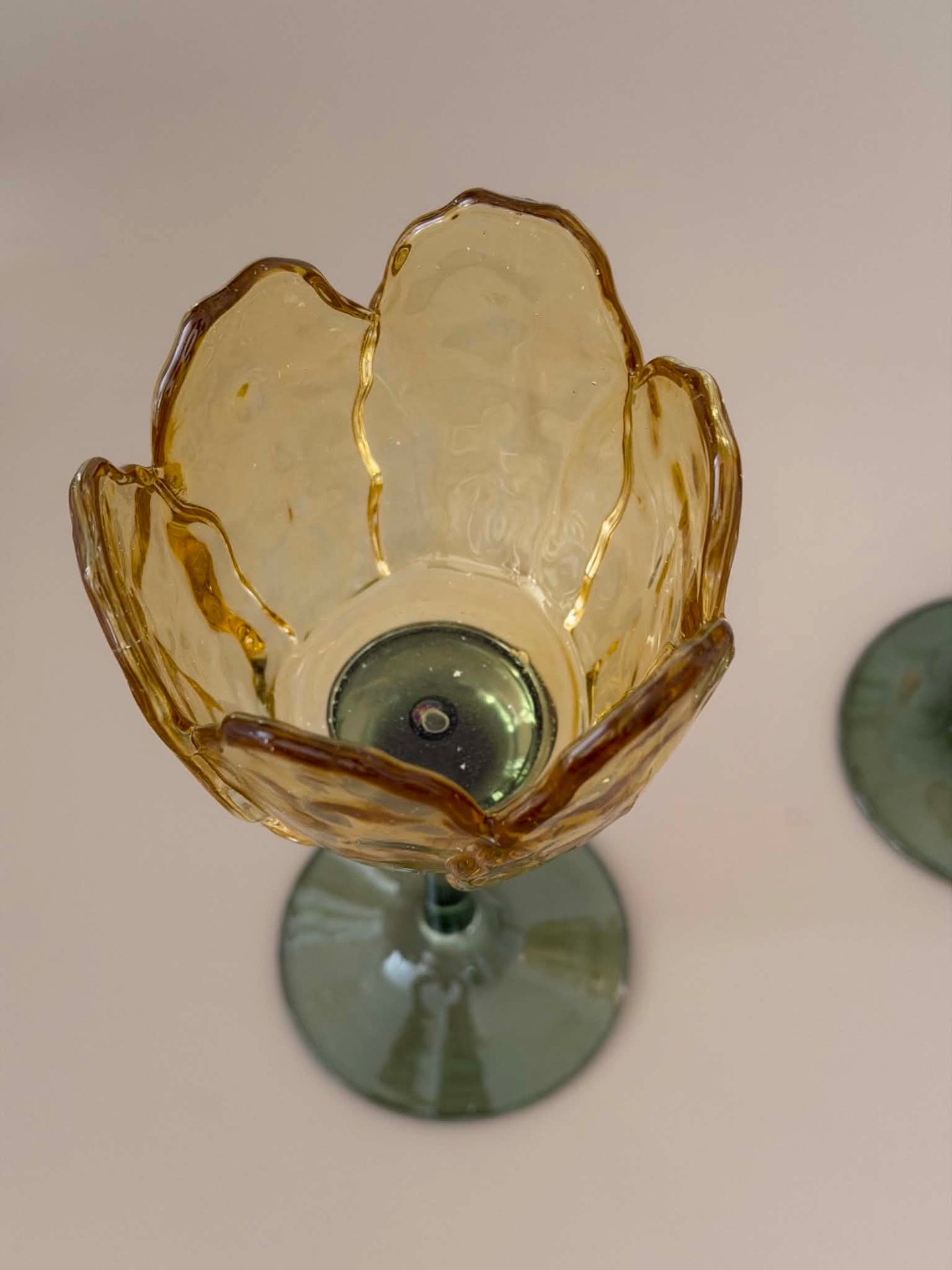 Ljusstake flower - Akacie