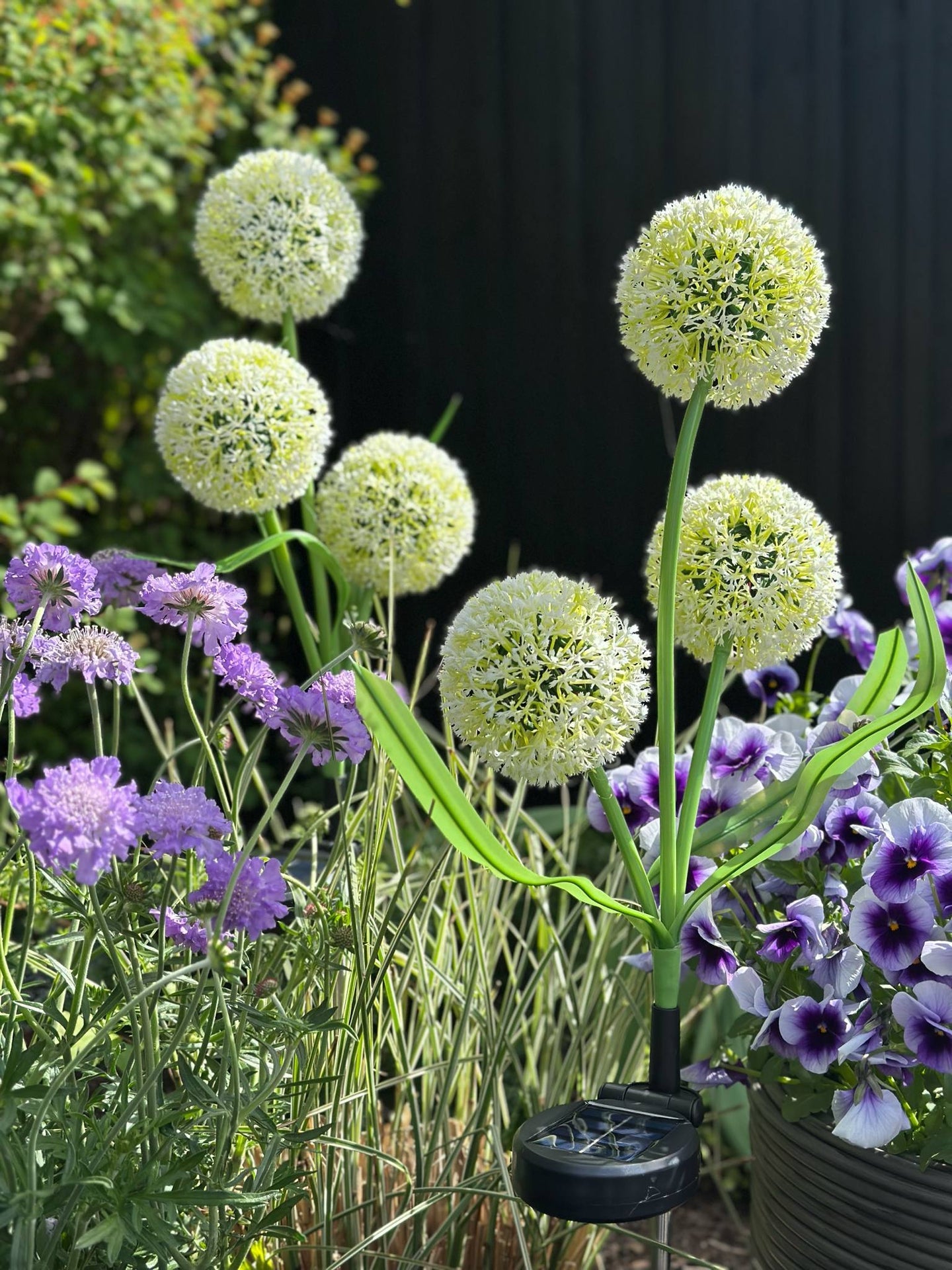 Dekorativ lök med solceller