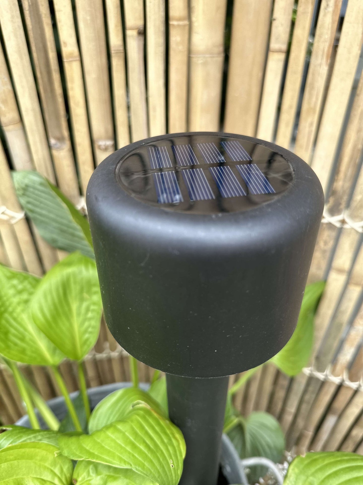 Bedlampe med solceller - VIAMAJA.DK