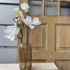 Blomma Magnolia - Vit