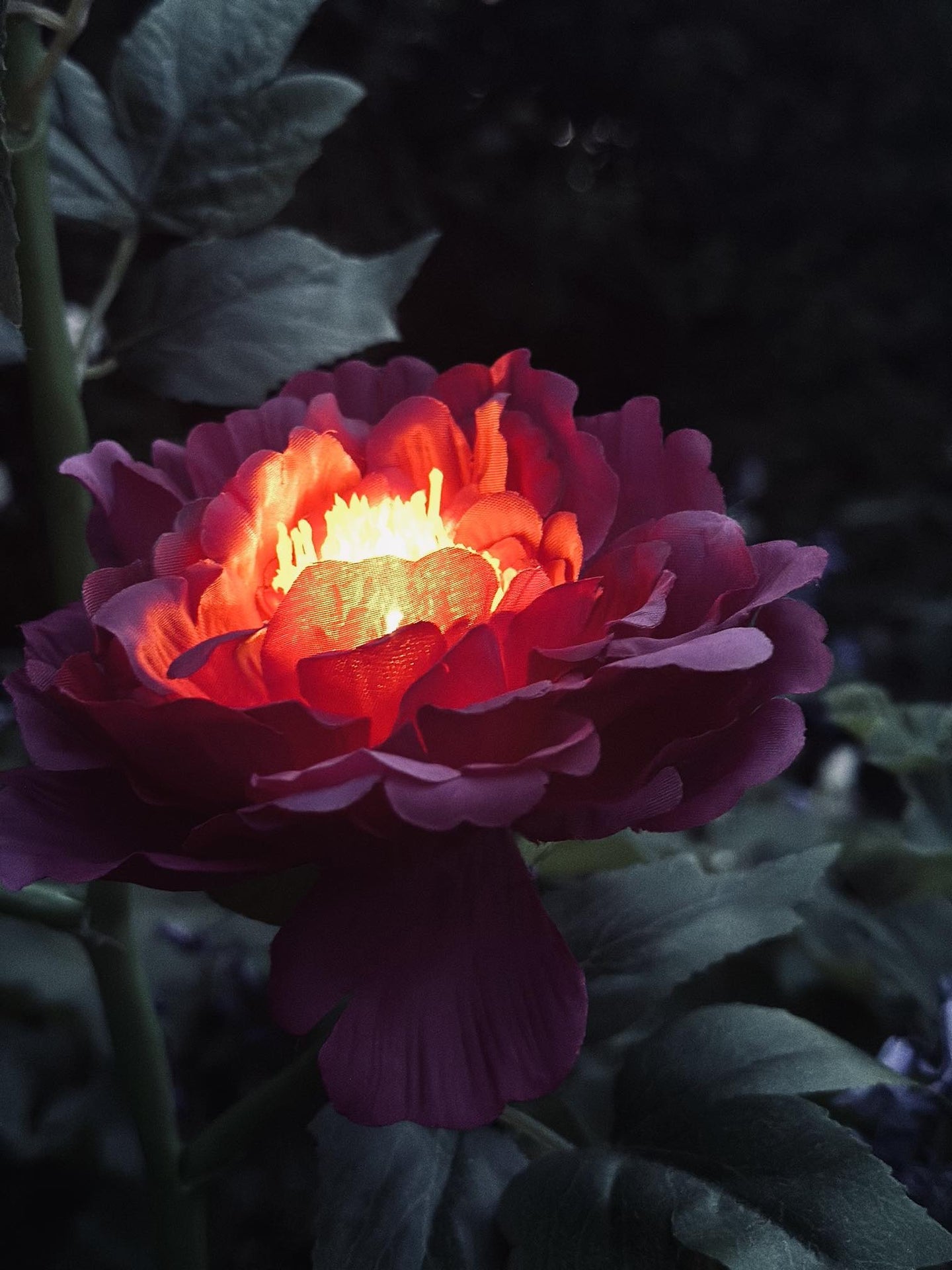 Blomst med solceller – Pink - VIAMAJA.DK