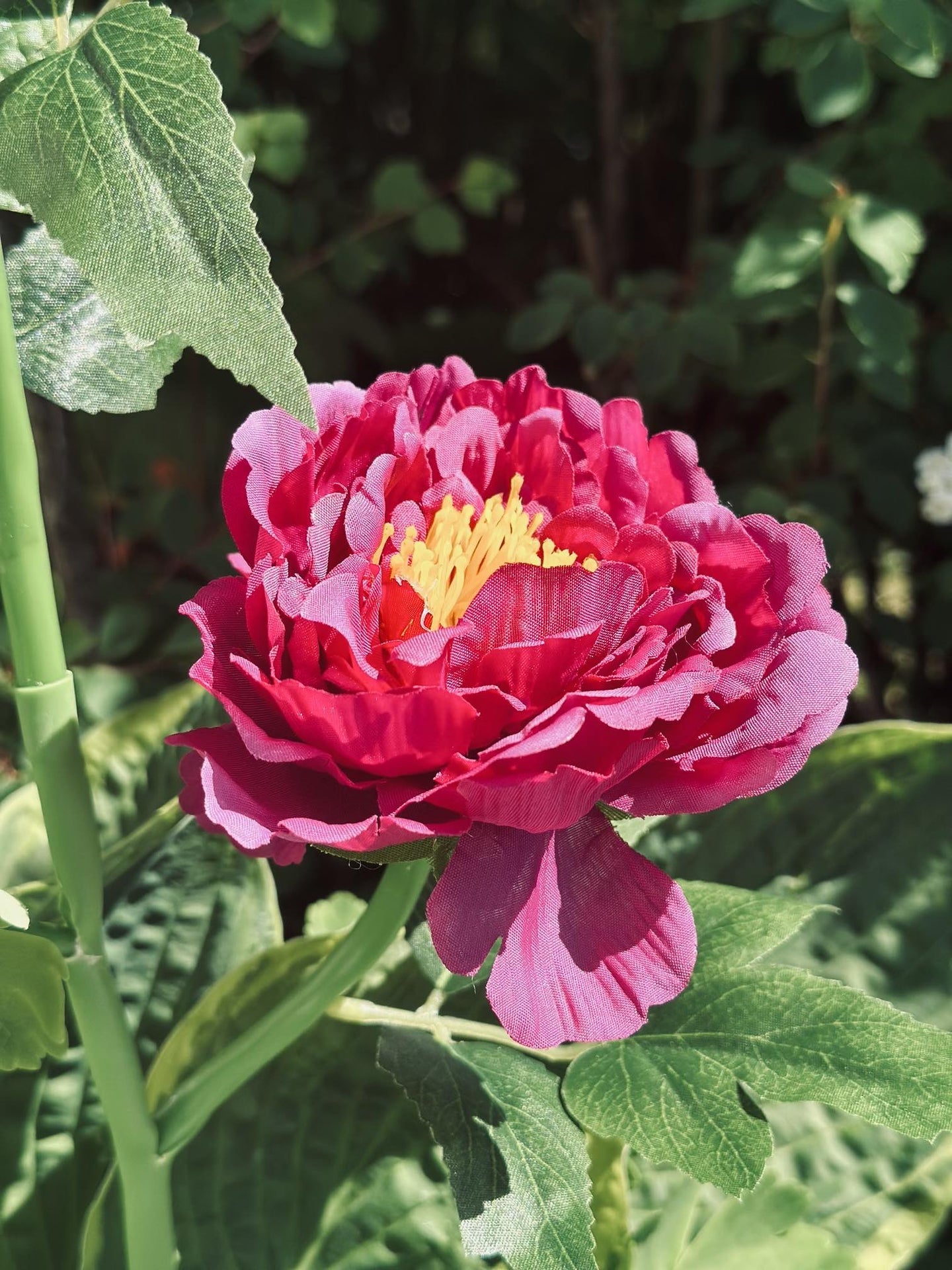Blomst med solceller – Pink - VIAMAJA.DK