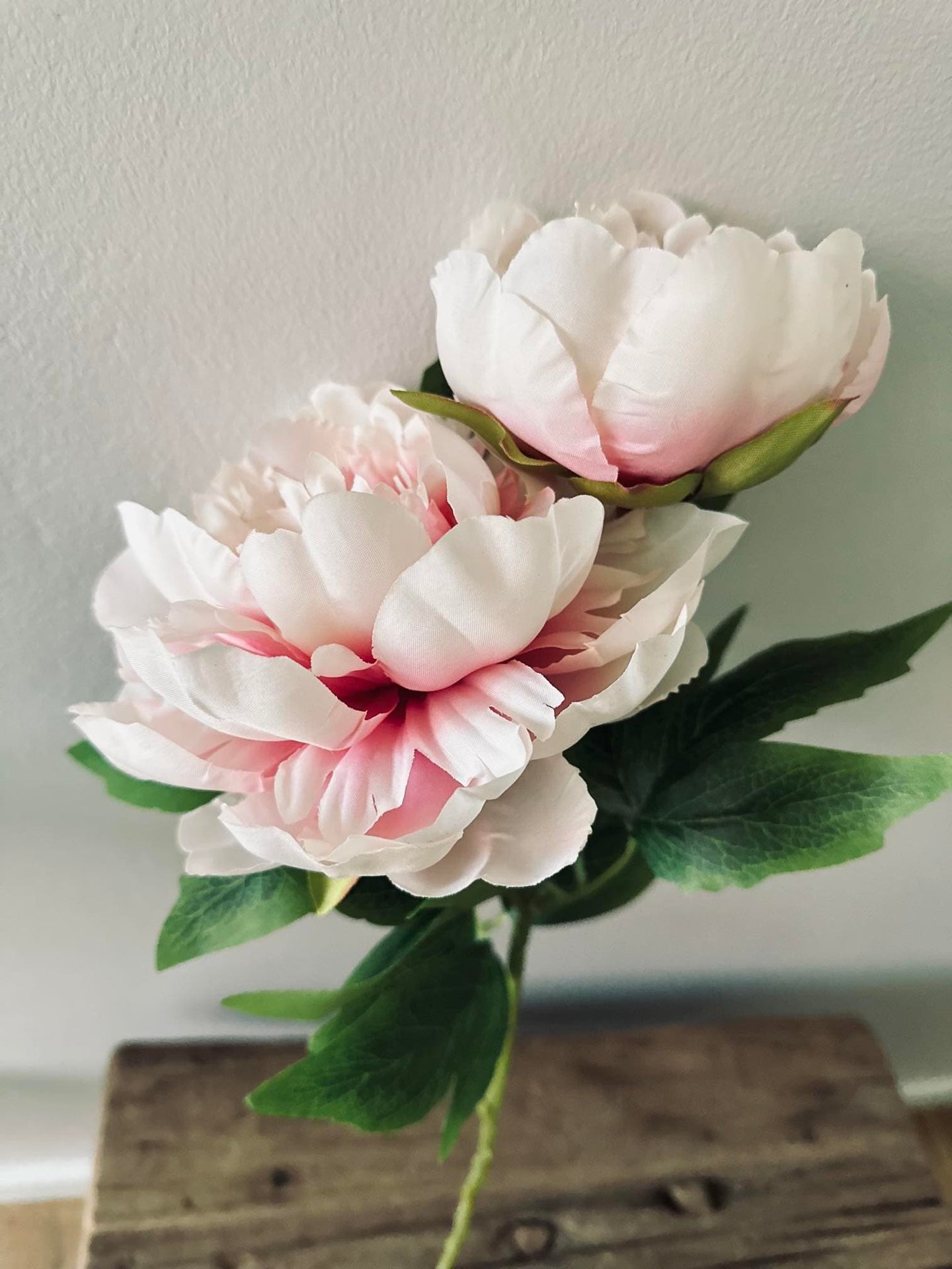 Blomst Pæon pink - VIAMAJA.DK