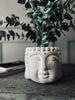 Buddha-kruka - Ljus stone