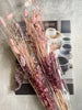 Bunt mix - Rosa