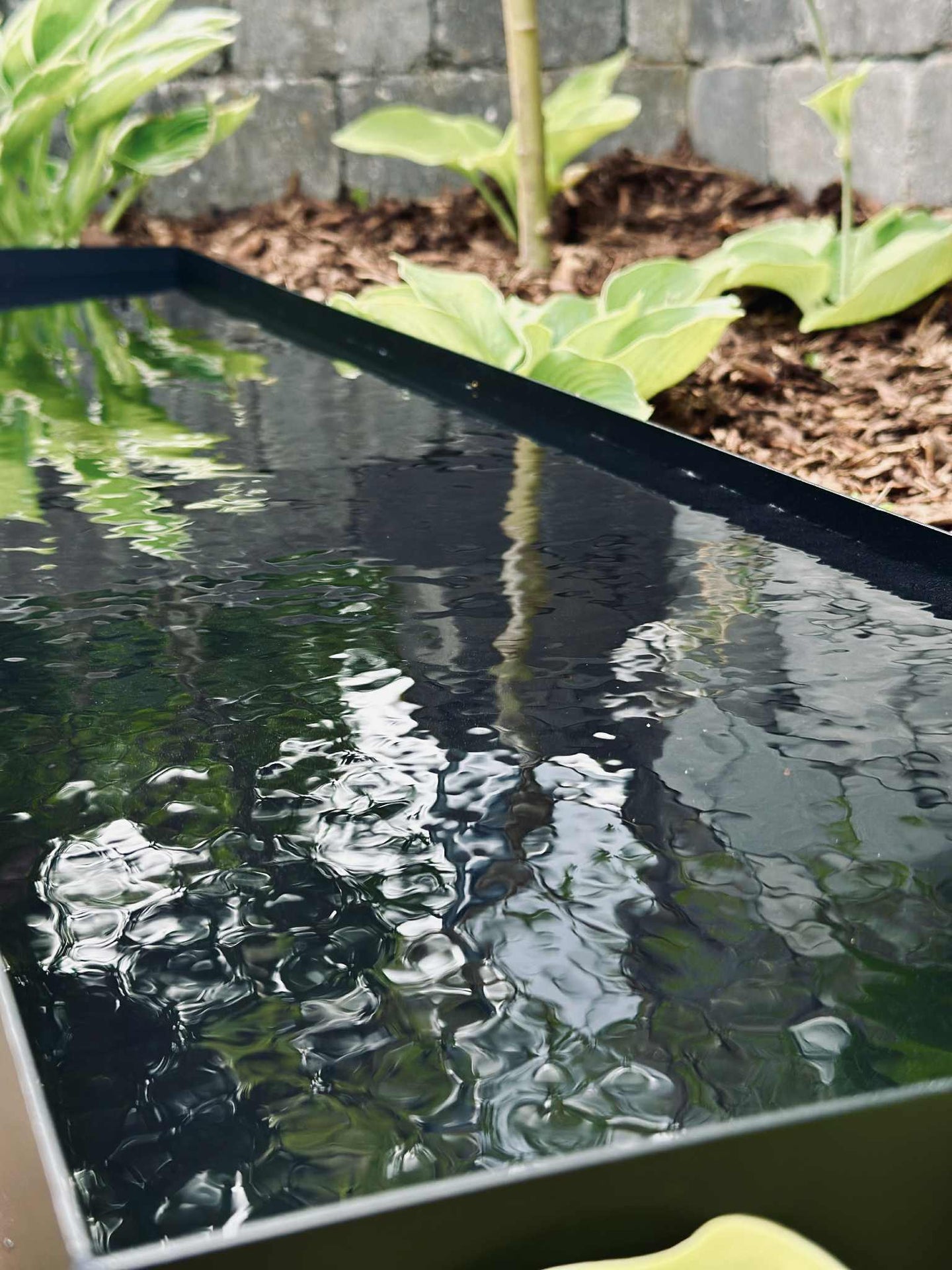 Spegelbassäng Rektangel - Svart