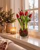 Tulpan i kruka - Röd med 5 blommor