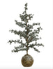 Cederträd/Mossboll 60 cm