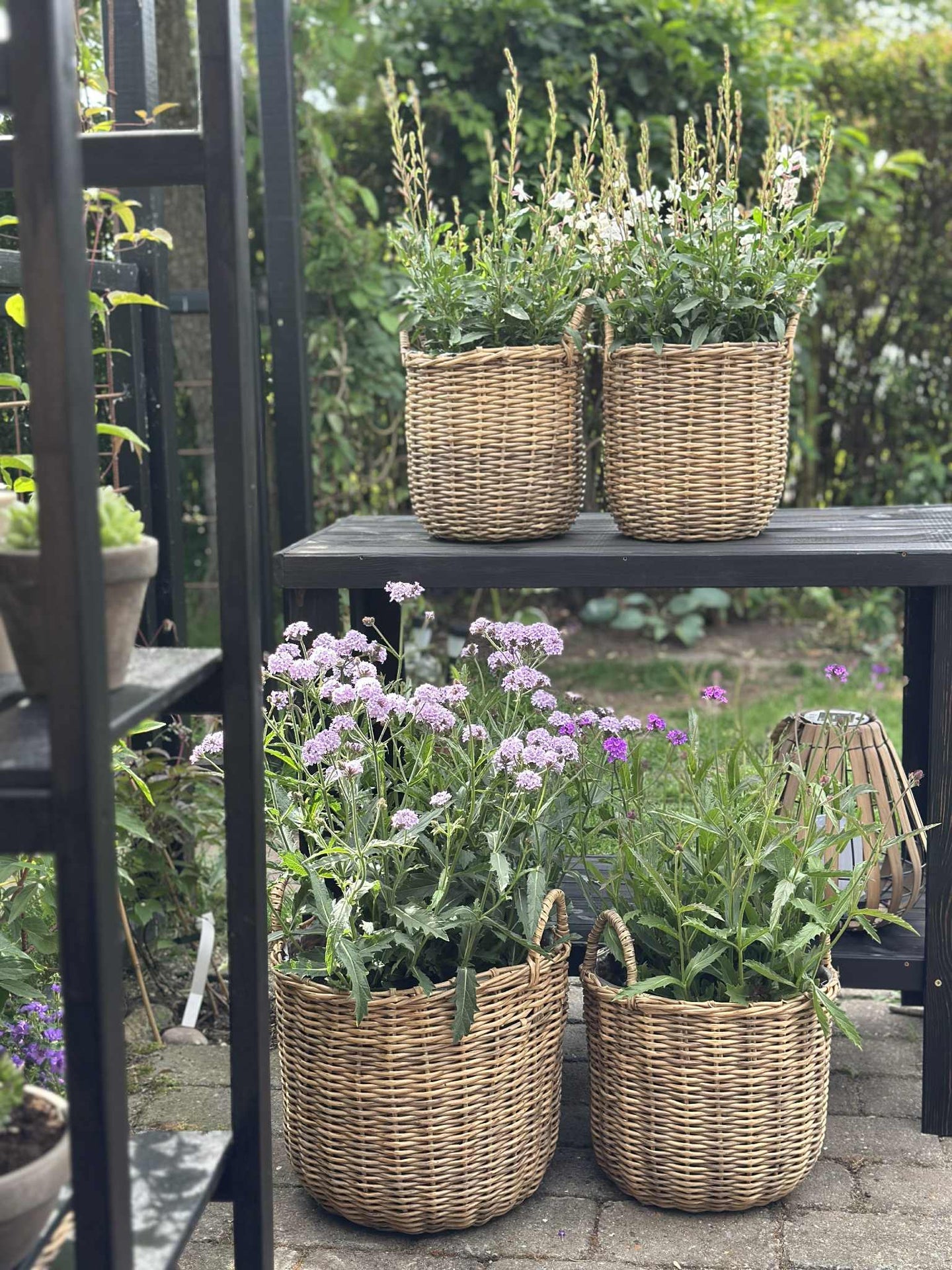 Växtkorgar i naturmaterial - 3 st