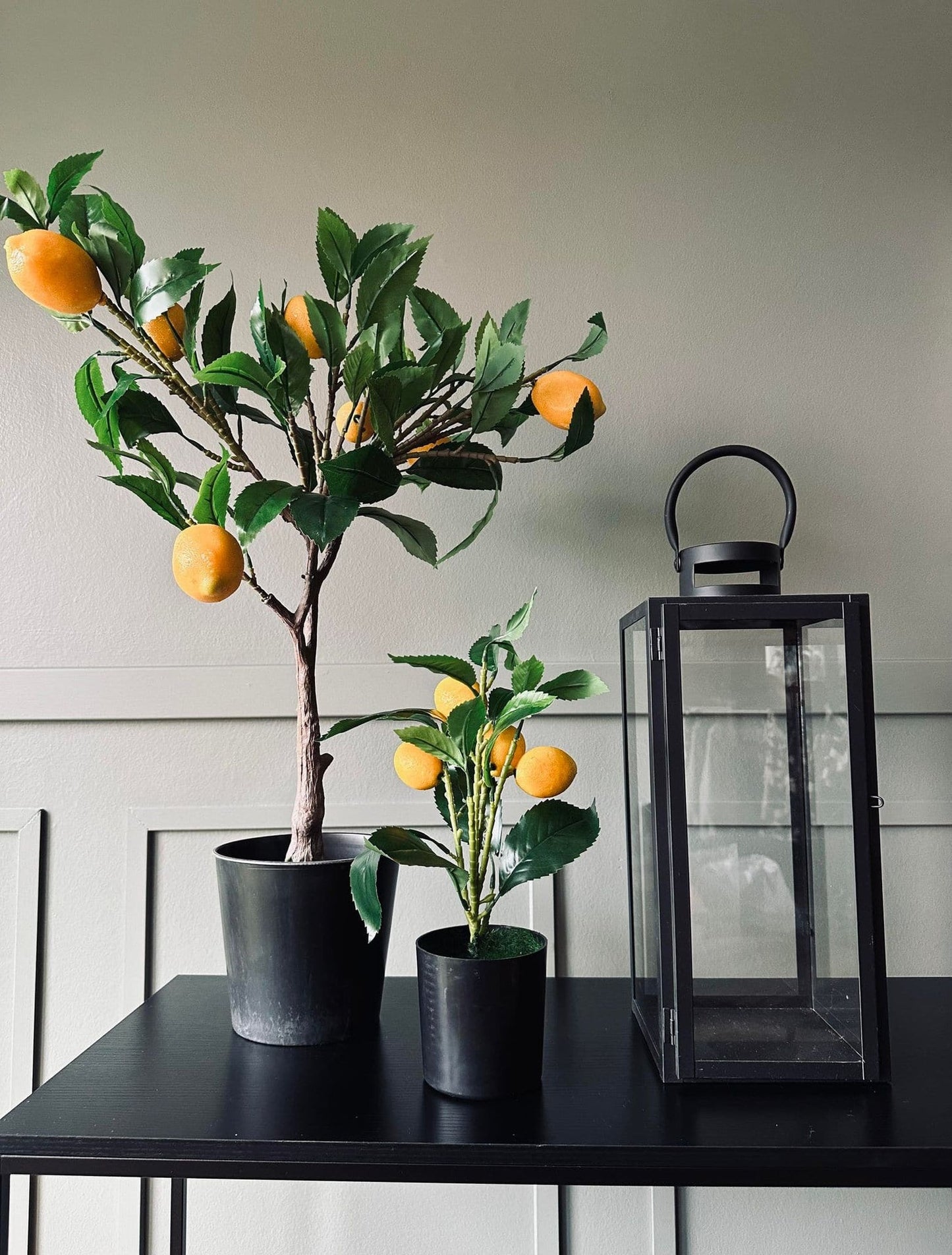 Citrustræ – Lille - VIAMAJA.DK