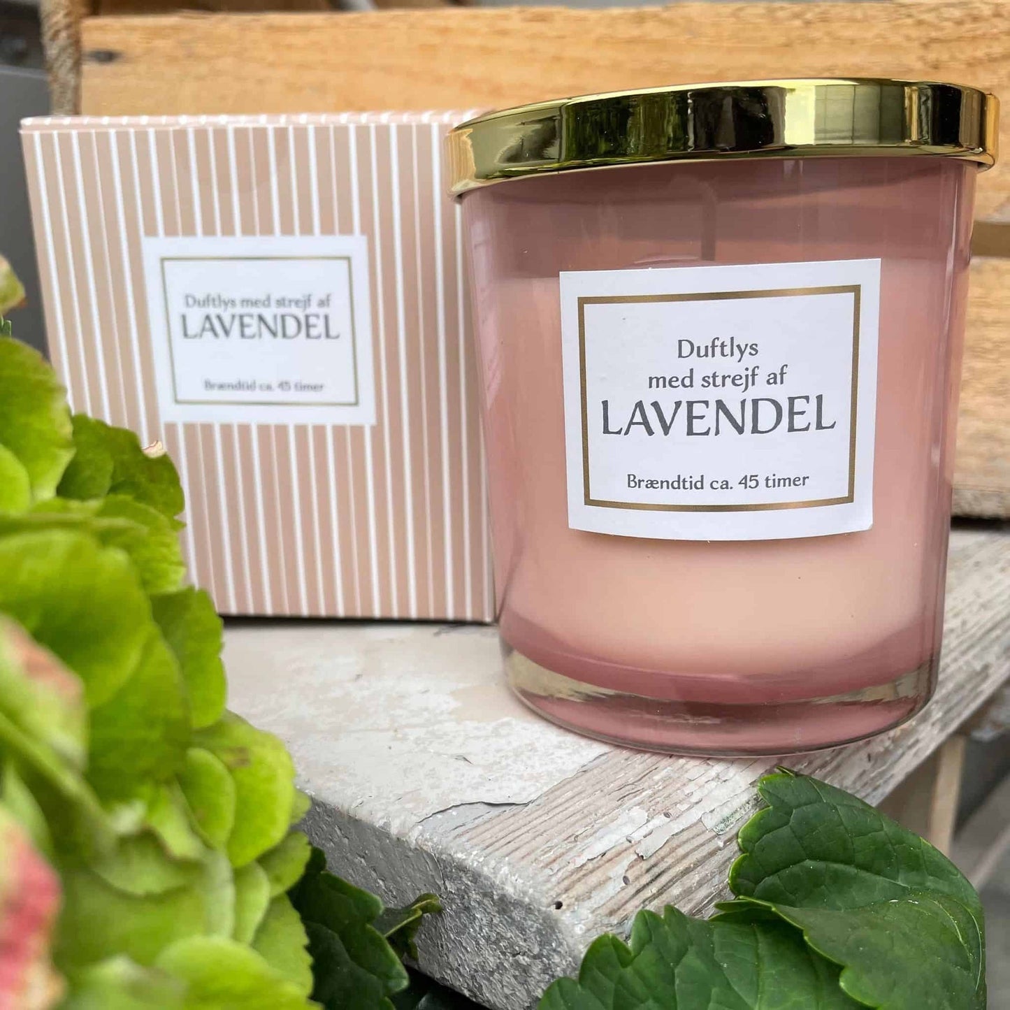 Duftelys - Lavendel 45timer - VIAMAJA.DK