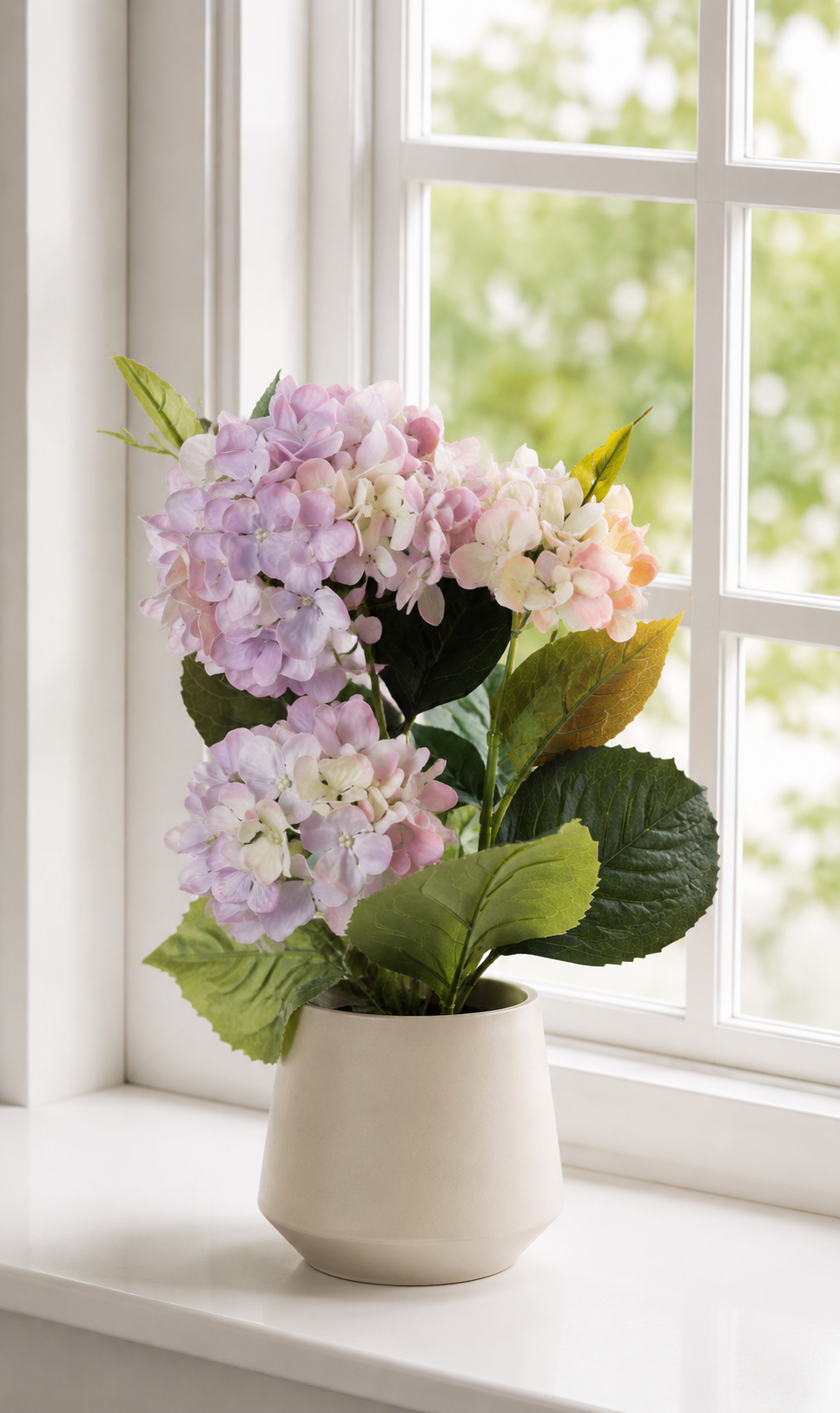 Hortensia i kruka - Syren