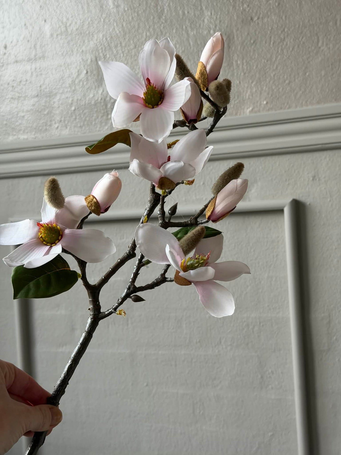 Magnoliagren - Rosa 52cm