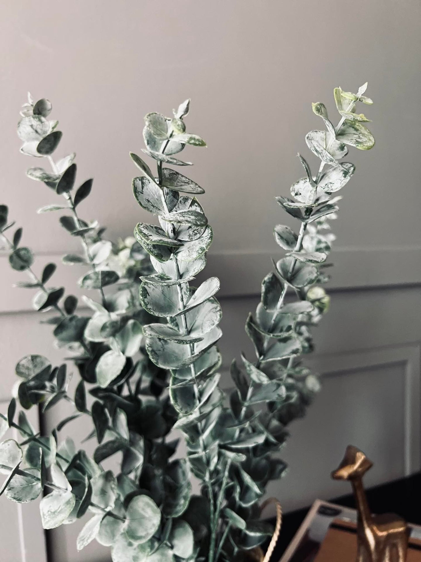 Eucalyptus med kurv - VIAMAJA.DK