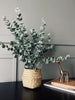 Eucalyptus med korg
