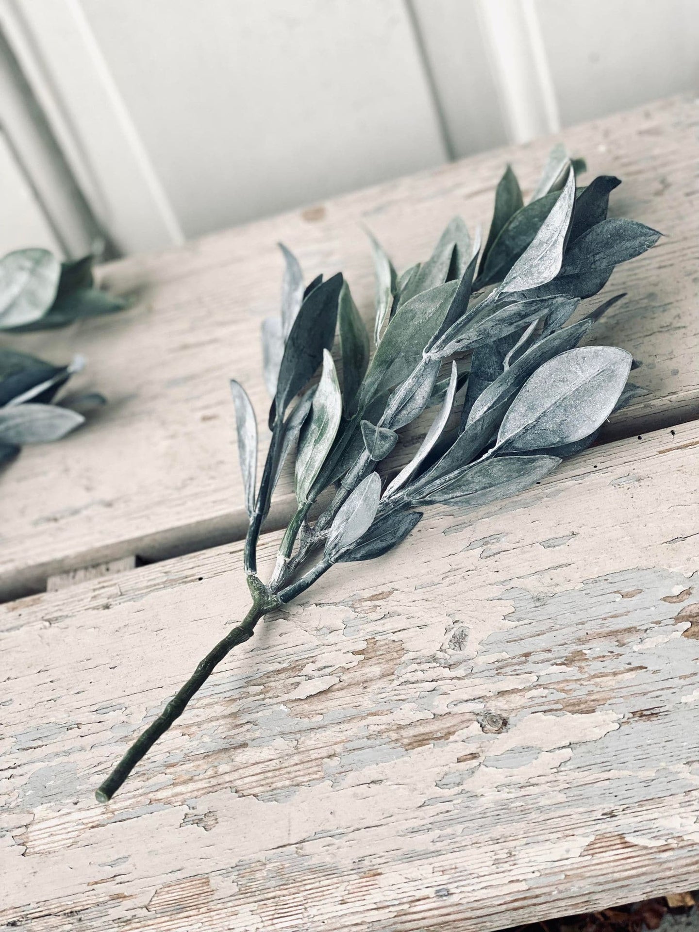 Eukalyptus stilk - 30 cm - VIAMAJA.DK