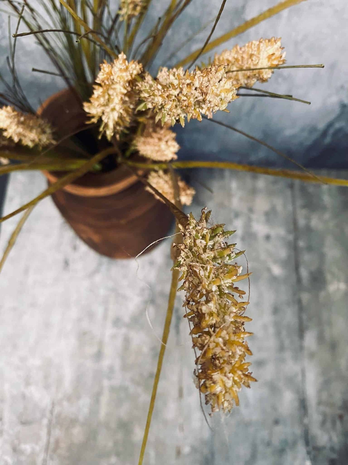 Evighedsblomst - Stilk 60cm Grøn - VIAMAJA.DK