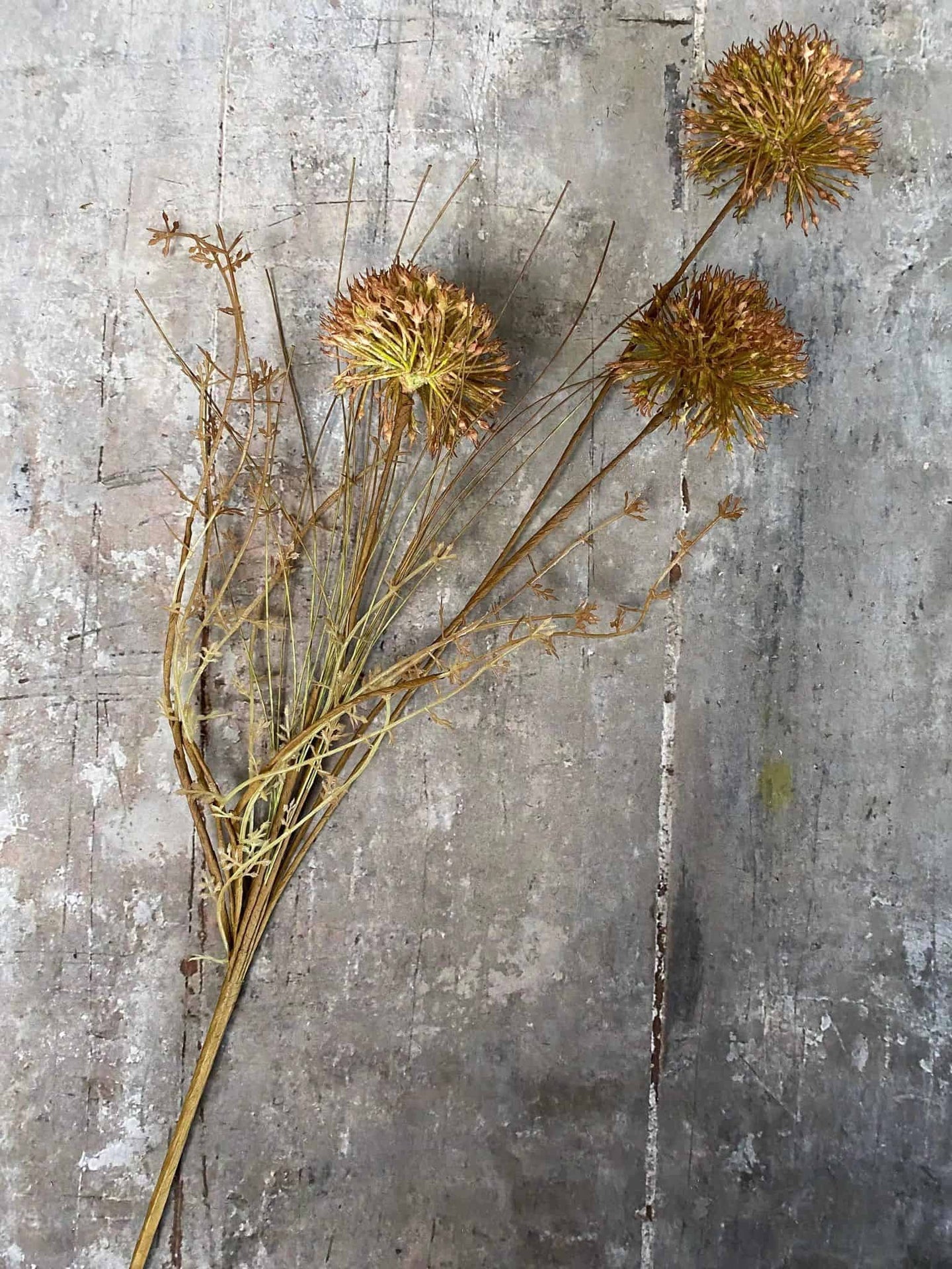 Evighedsblomst – Stilk 60cm Pom - VIAMAJA.DK