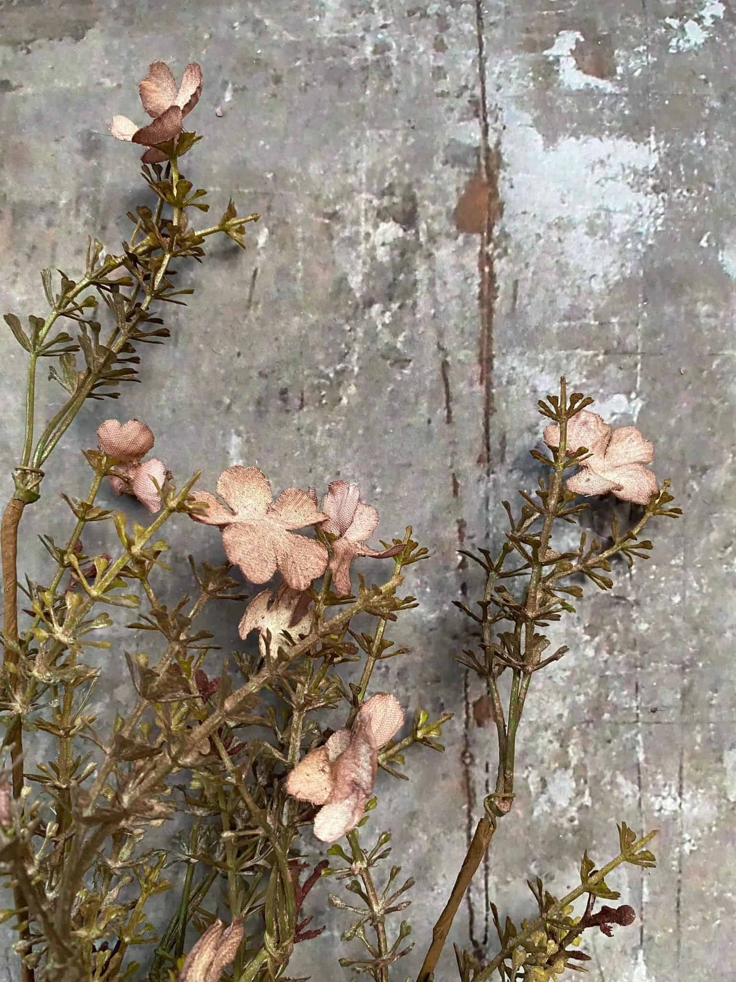 Evighedsblomst – Stilk 60cm Rosa - VIAMAJA.DK