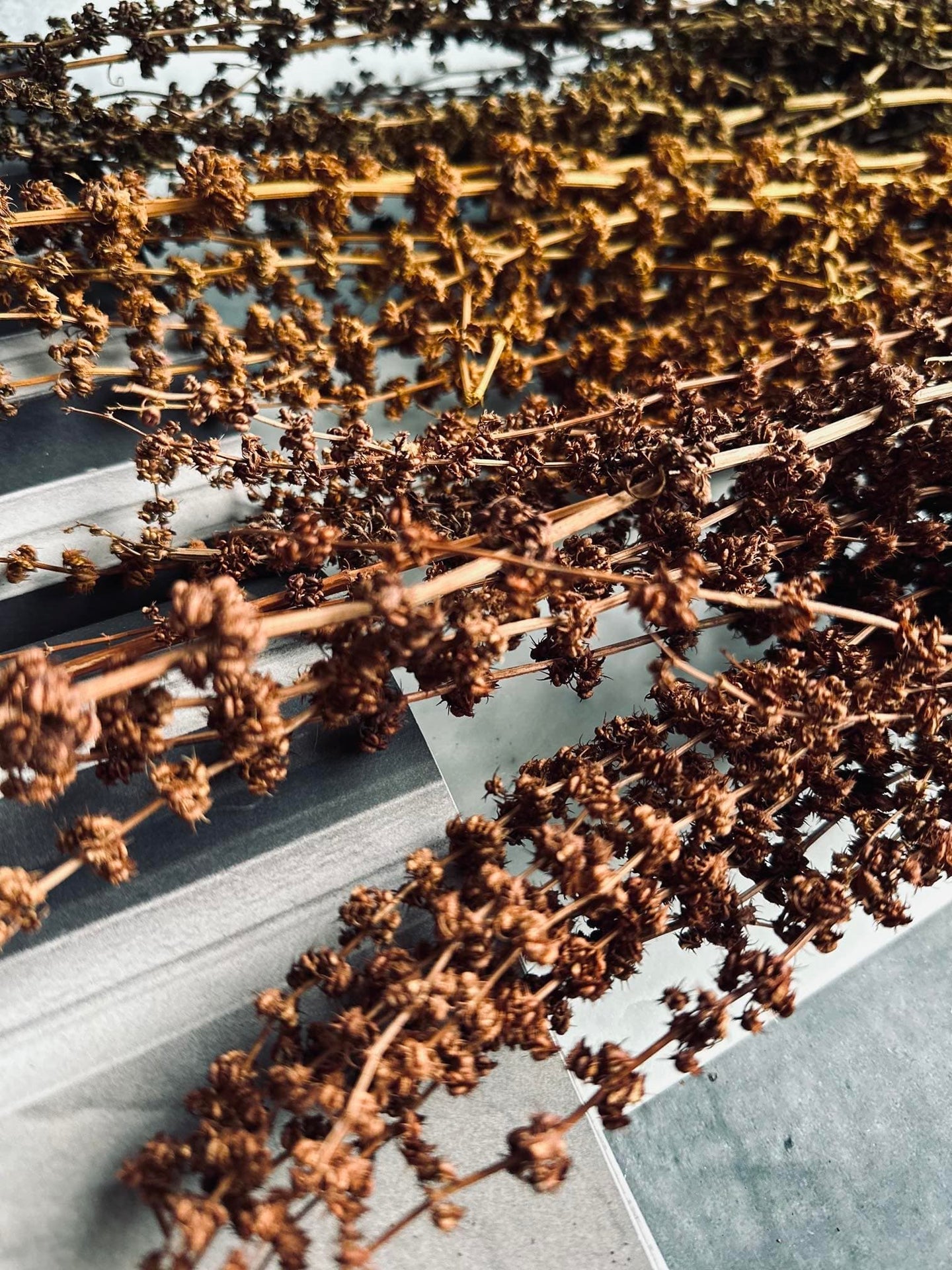 Evighedsbuket - Natur bundt - VIAMAJA.DK