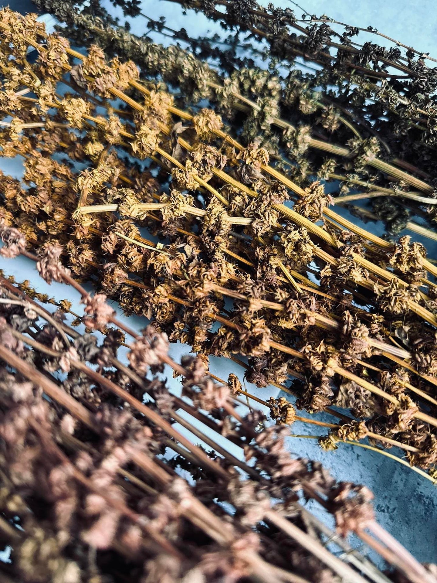 Evighedsbuket - Natur bundt - VIAMAJA.DK