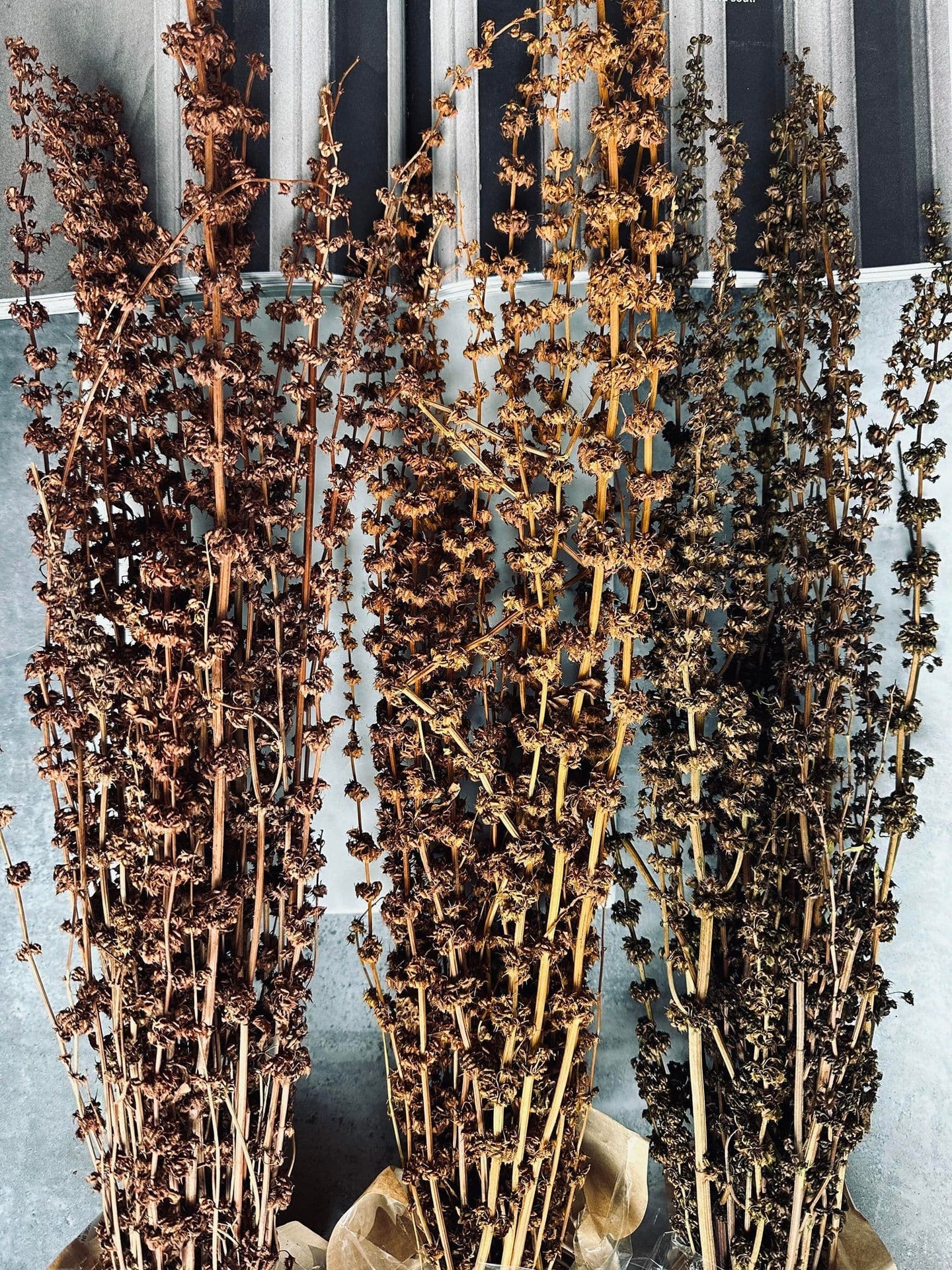 Evighedsbuket - Natur bundt - VIAMAJA.DK