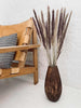 Evighetsbukett - Silver grass Plume natural