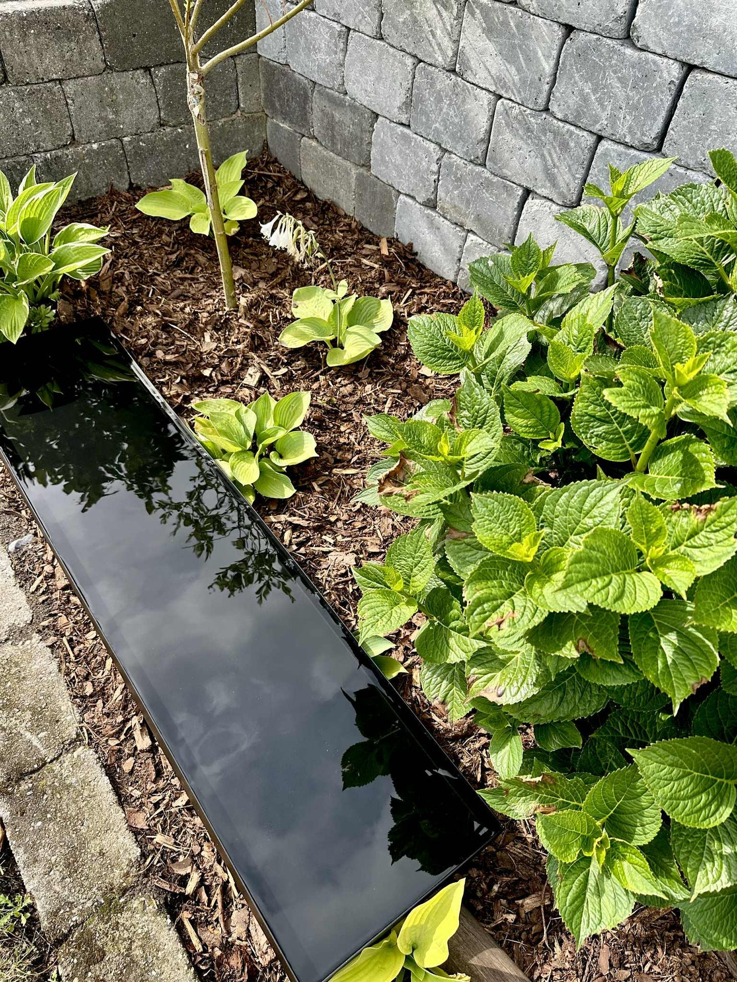 Spegelbassäng Rektangel - Svart