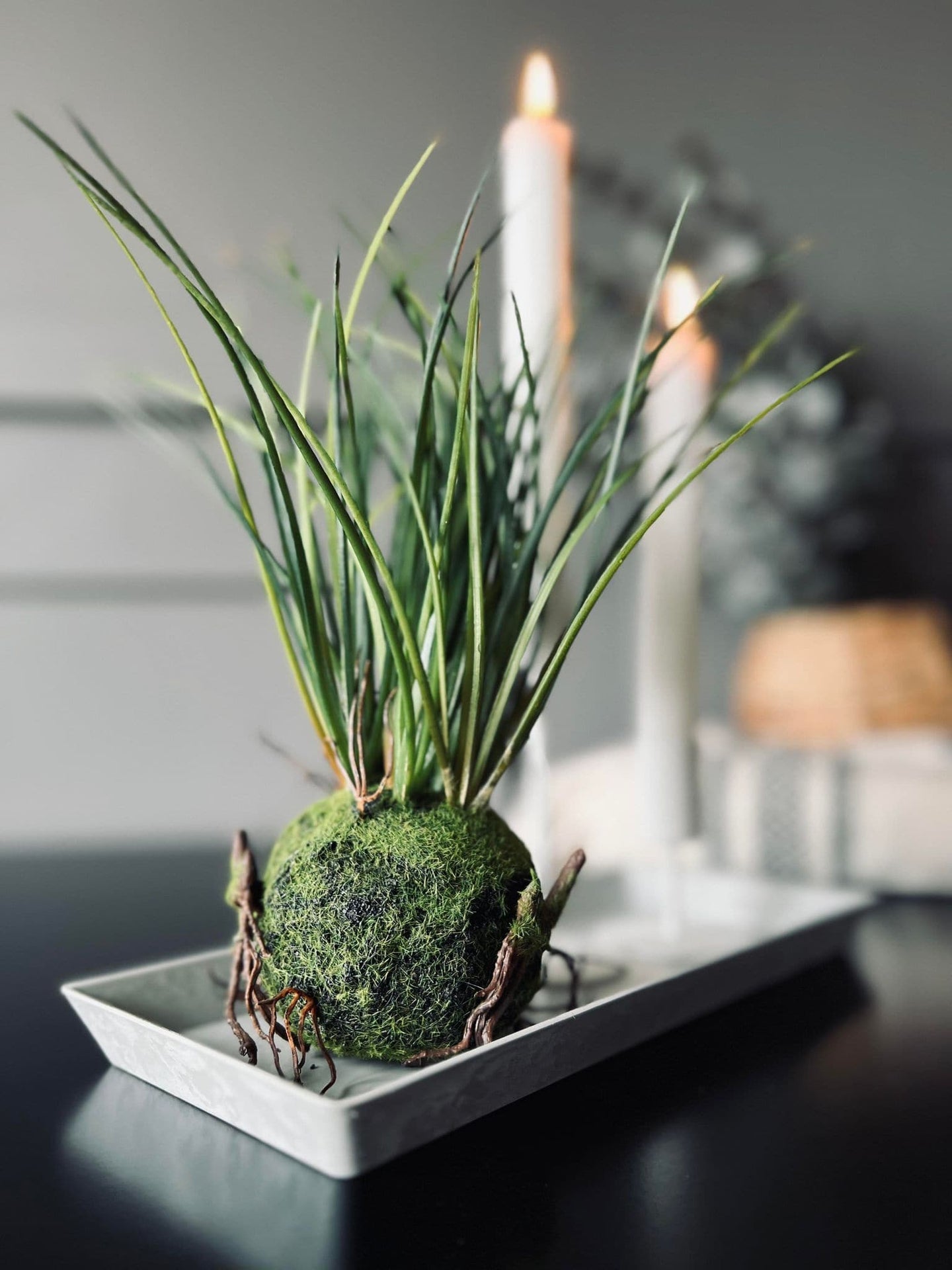 Fad i lys grå beton look - Light Nordic - VIAMAJA.DK