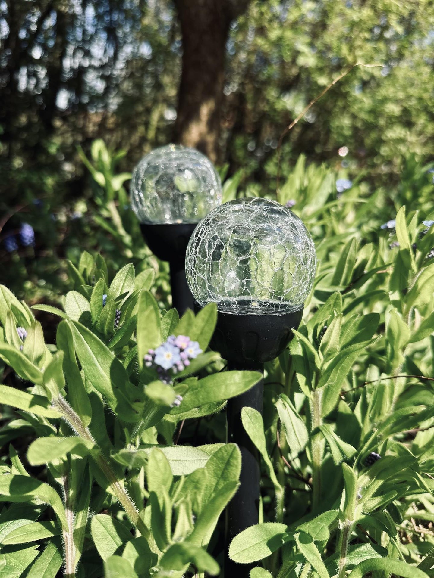Fakkel med solceller – Glaskugle black mini - VIAMAJA.DK