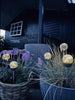 Fackelset med solceller – Set med 5 st.