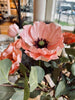 Folie-blomma med 2 huvuden - Ljus Rosa