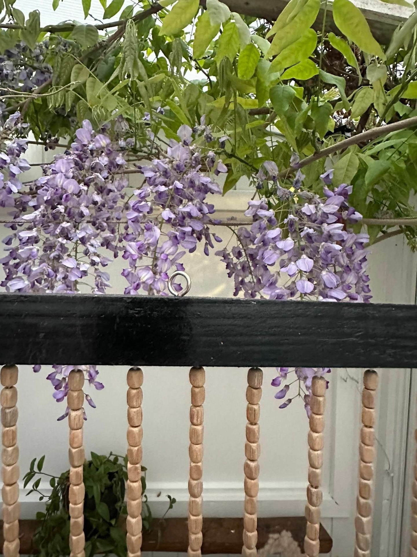 Forhæng i sorte træperler - 120x200cm - Ekstra bred - VIAMAJA.DK