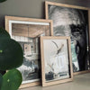 Fotoram Natur – 70x50 cm