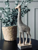 Giraff