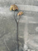 Gren med 2 blommor