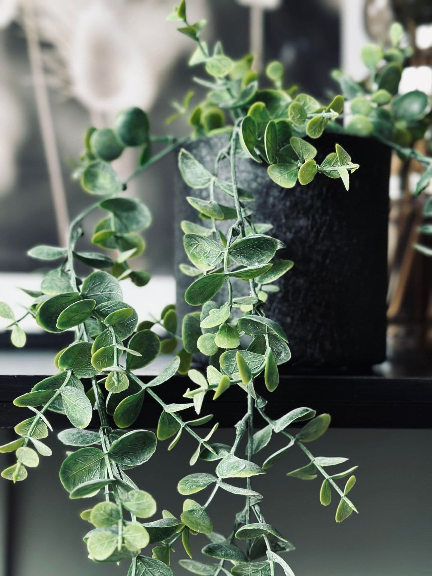 Hängande växt grön